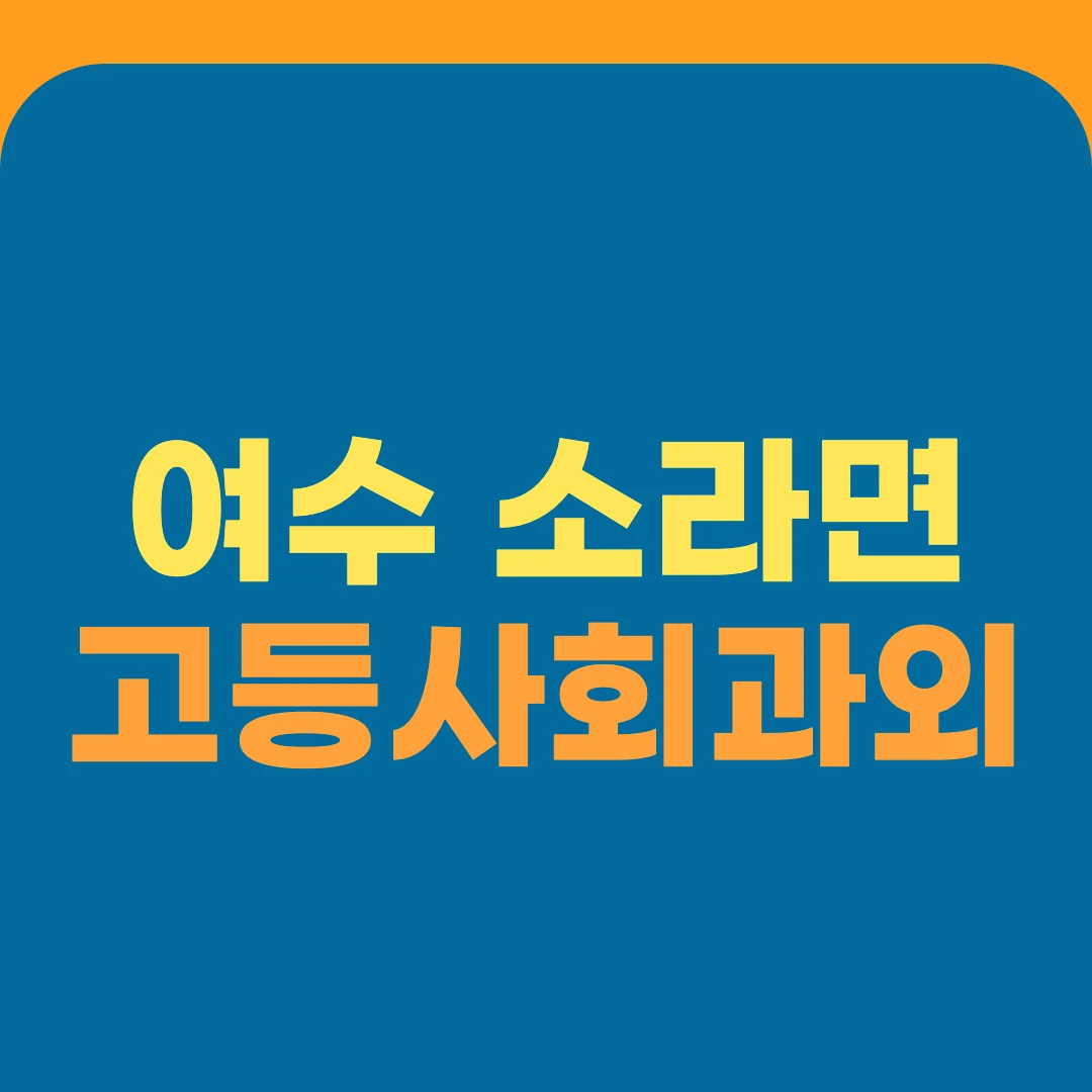 여수 소라면 고등사회과외