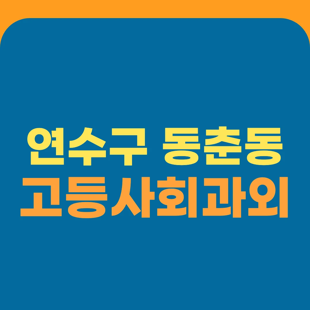 연수구 동춘동 고등사회과외