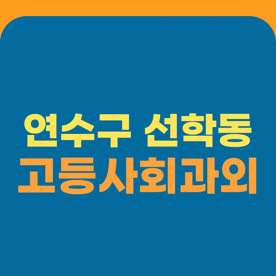연수구 선학동 고등사회과외