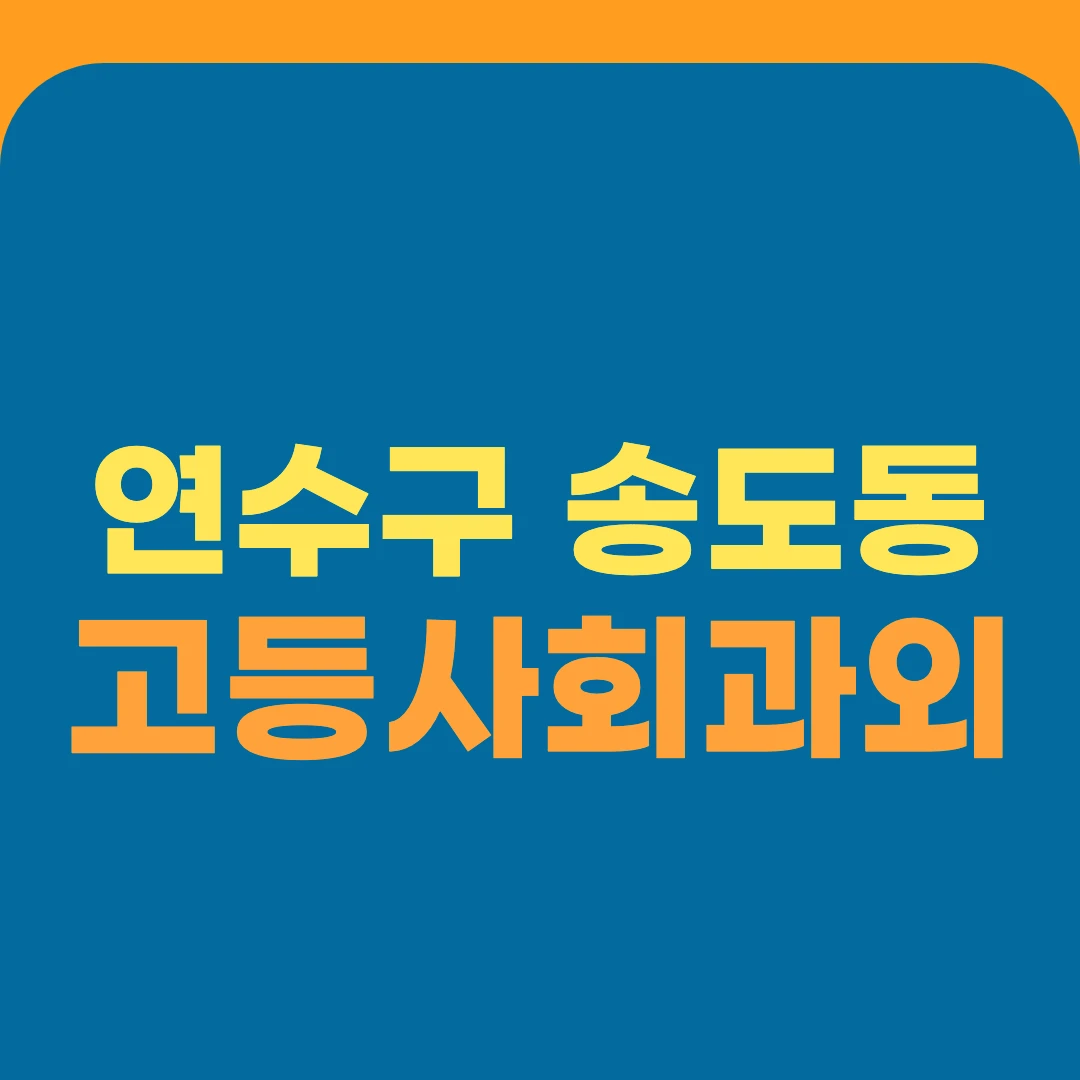 연수구 송도동 고등사회과외