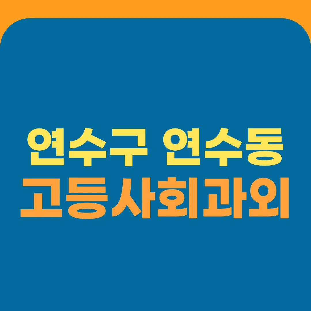 연수구 연수동 고등사회과외