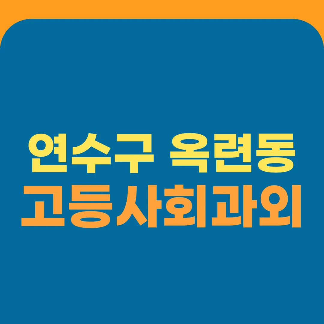 연수구 옥련동 고등사회과외