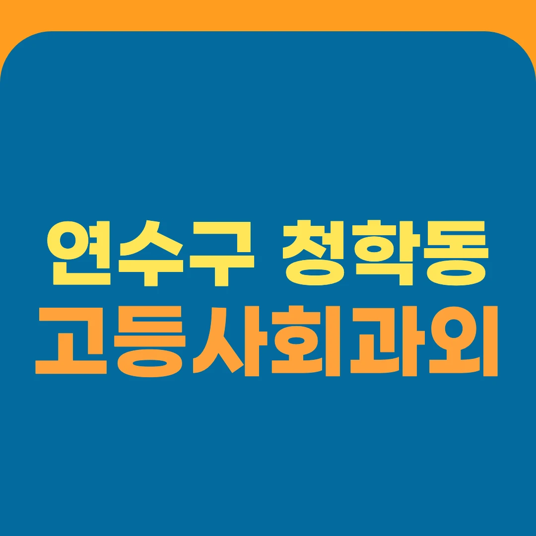 연수구 청학동 고등사회과외