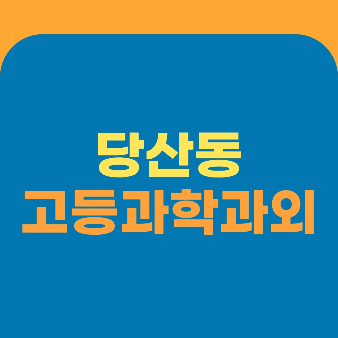당산동 고등과학과외