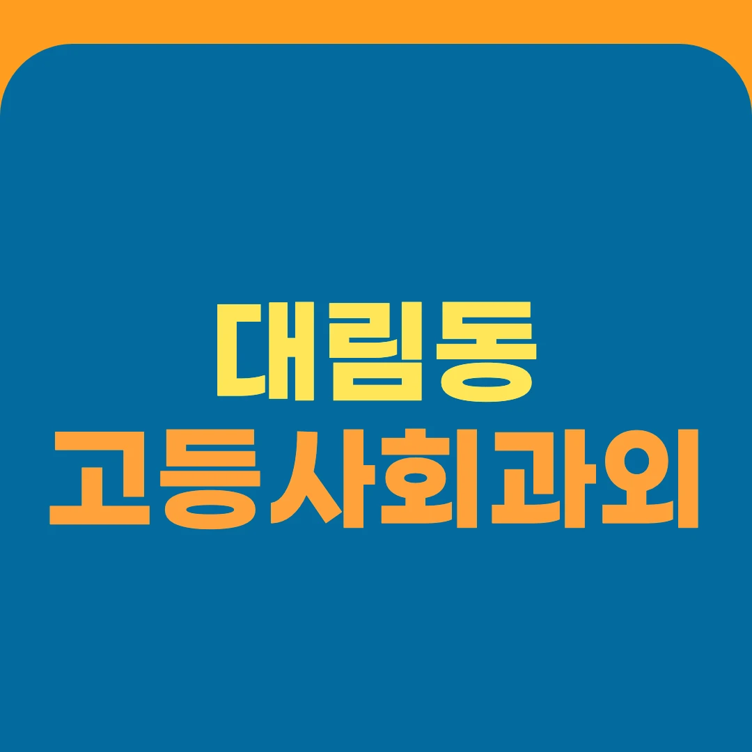 대림동 고등사회과외