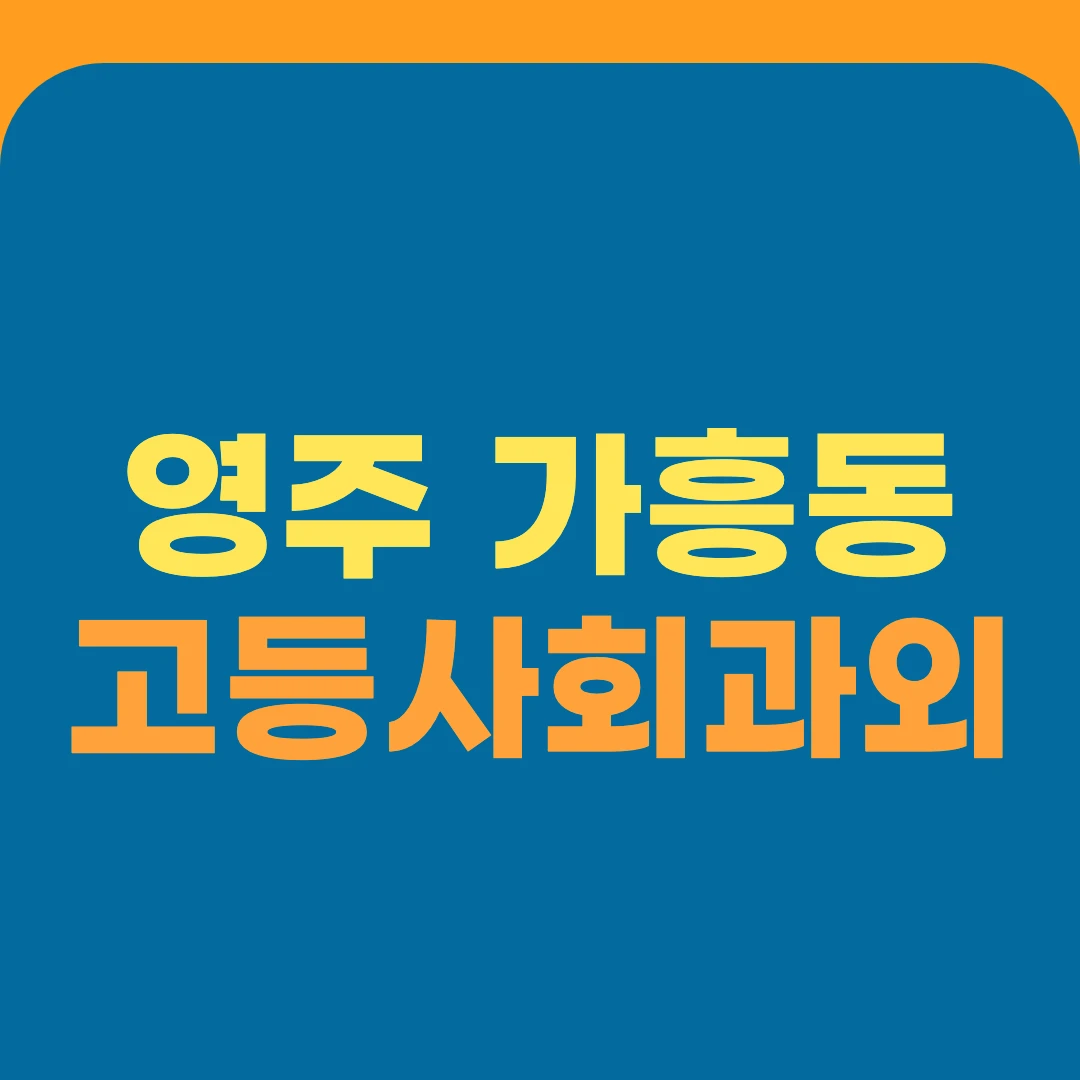 영주 가흥동 고등사회과외
