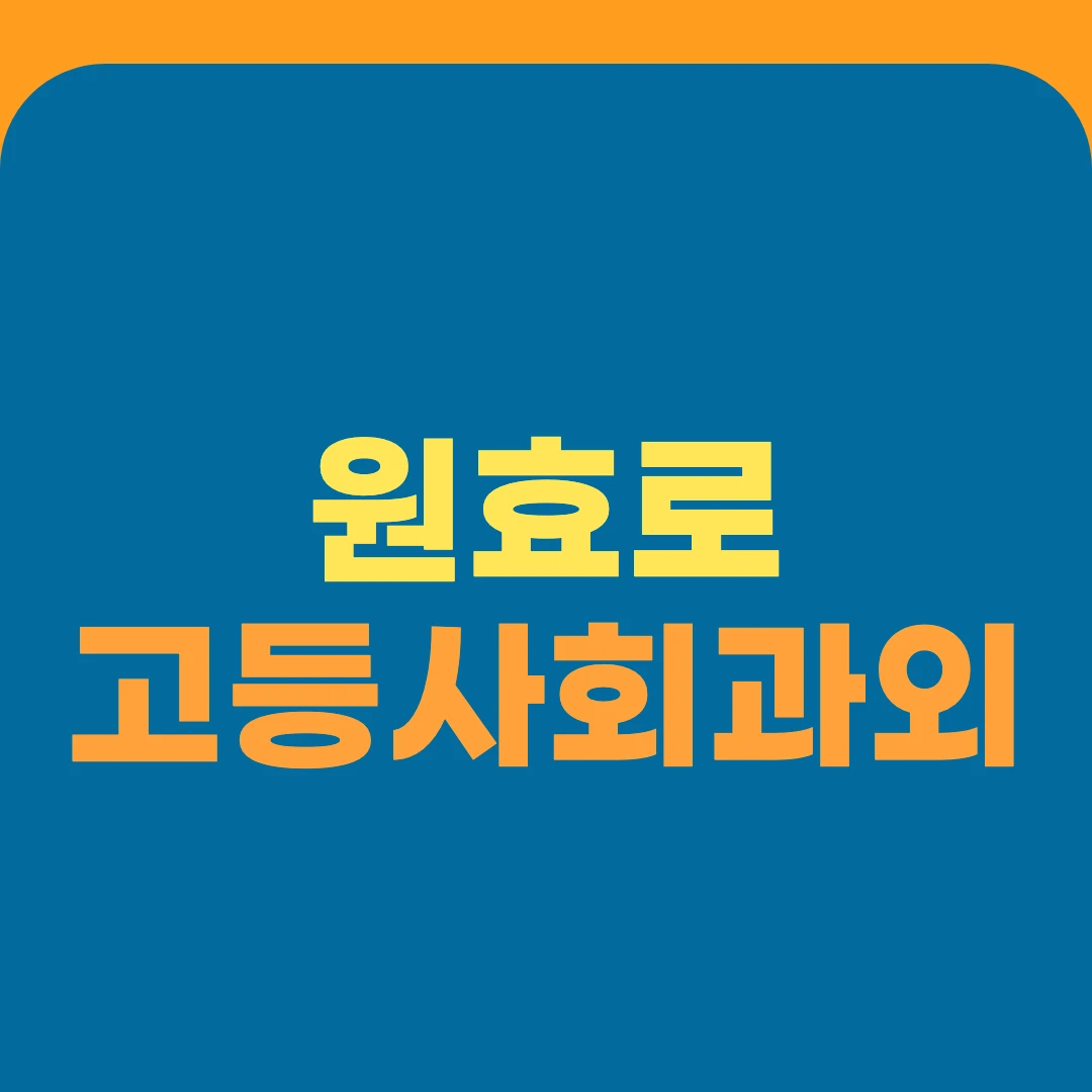 원효로 고등사회과외
