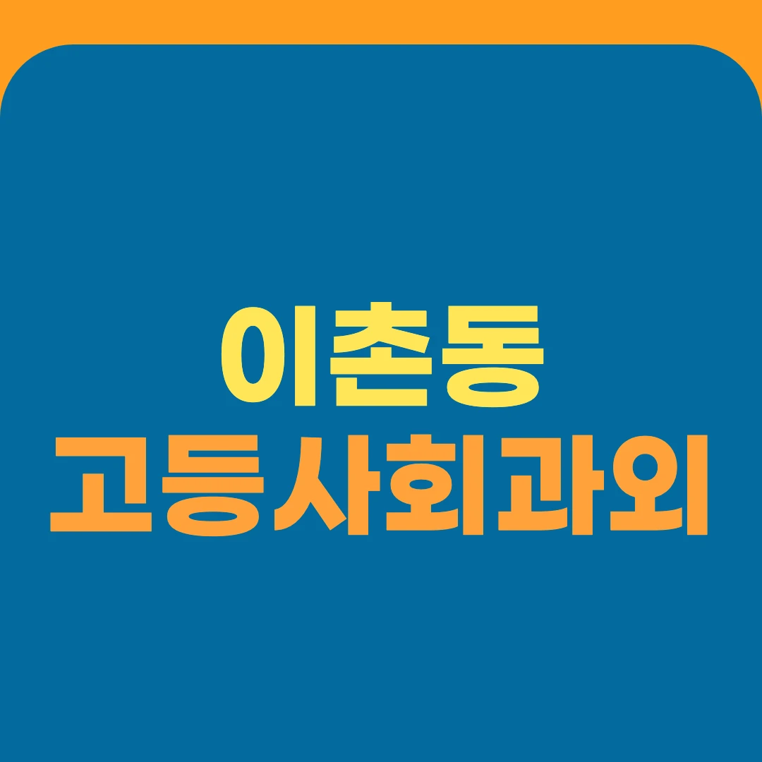 이촌동 고등사회과외