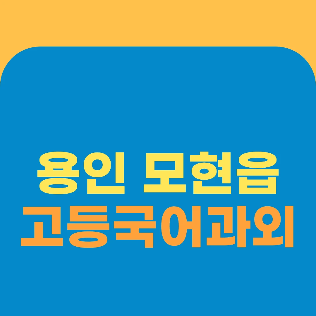 용인 모현읍 고등국어과외