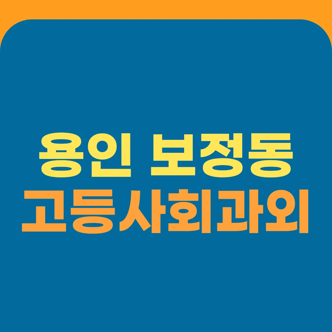 용인 보정동 고등사회과외