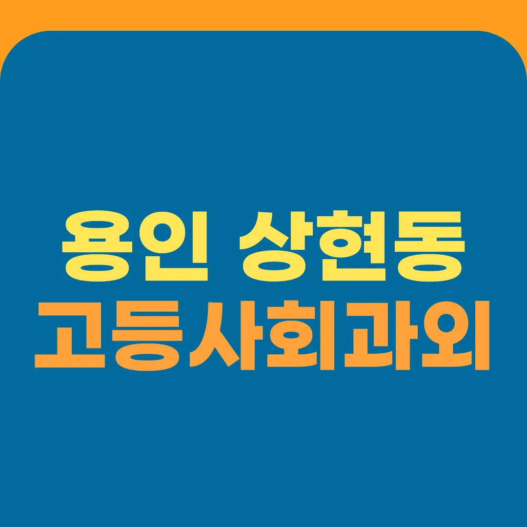 용인 상현동 고등사회과외