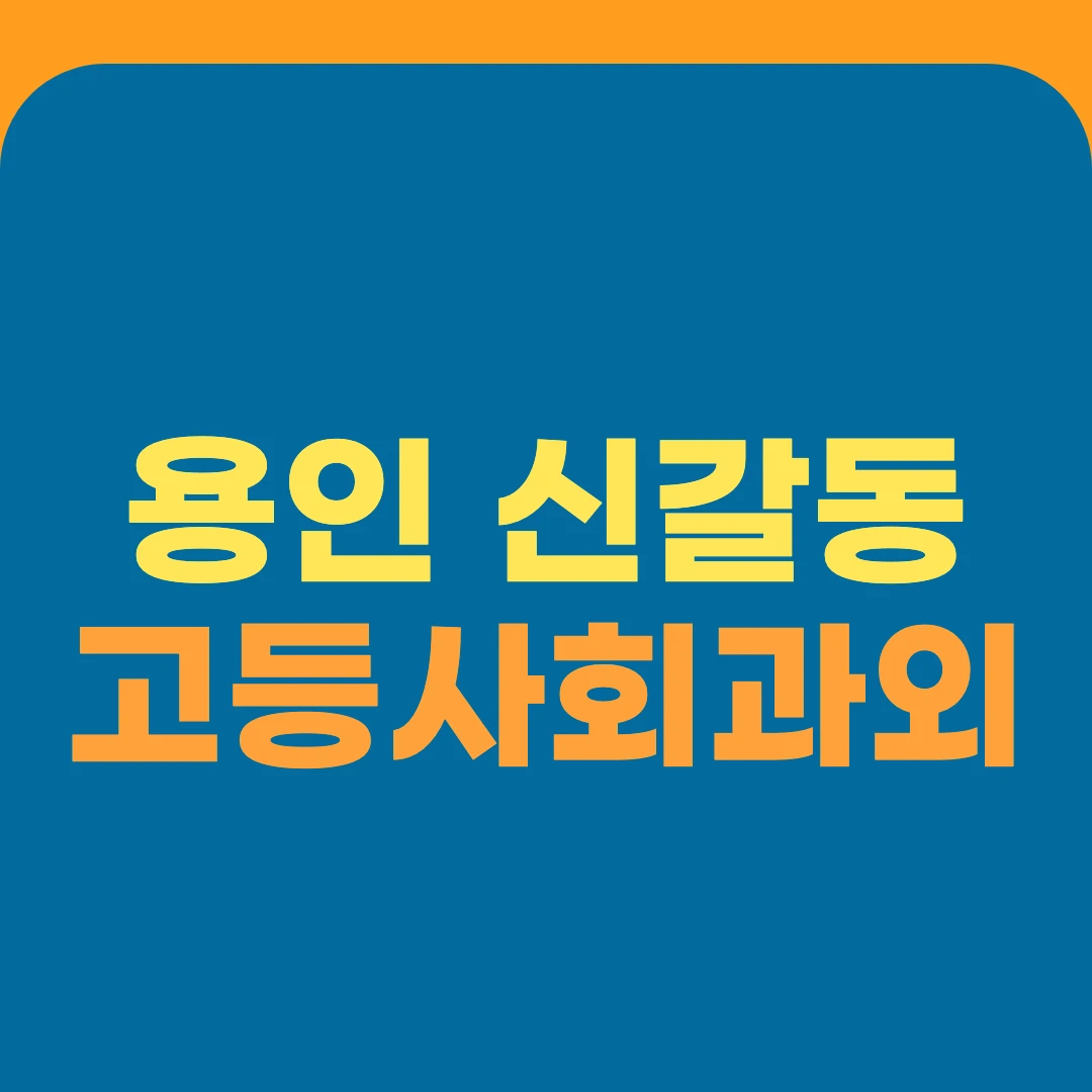 용인 신갈동 고등사회과외