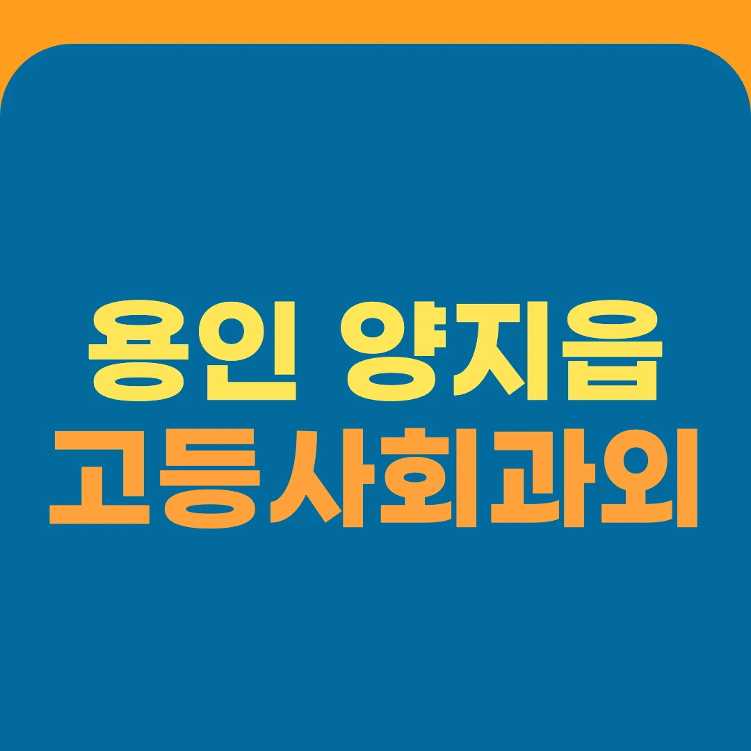 용인 양지읍 고등사회과외