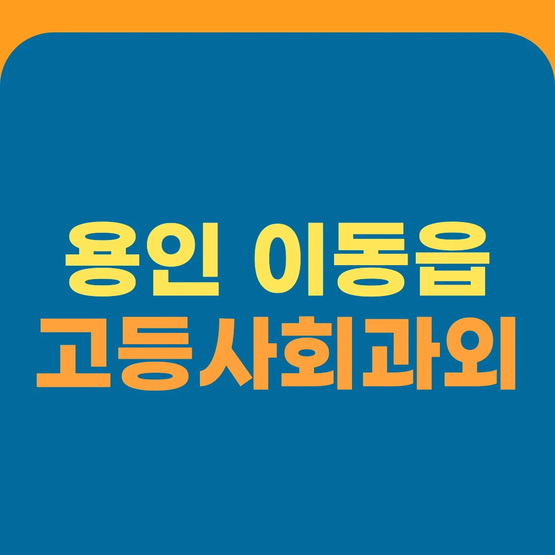 용인 이동읍 고등사회과외