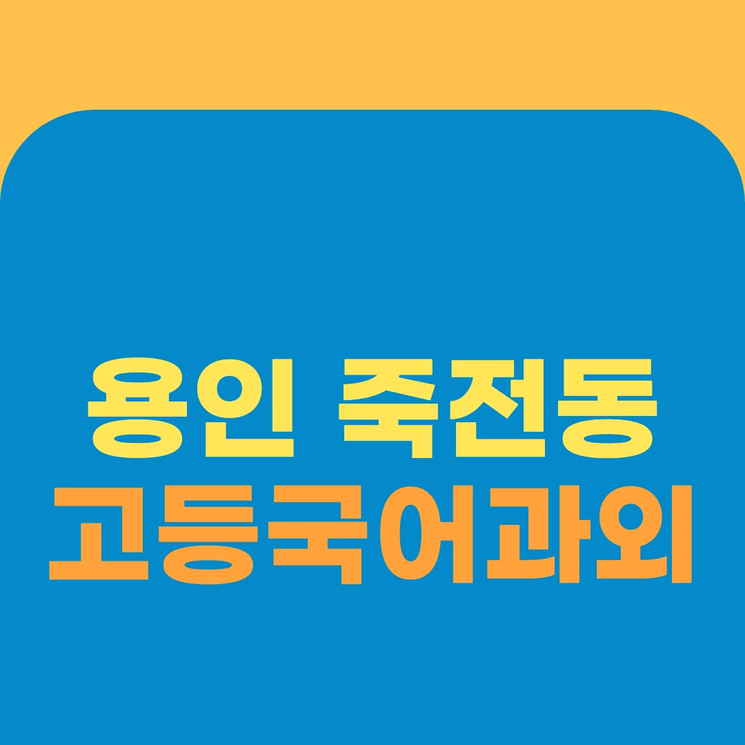 용인 죽전동 고등국어과외