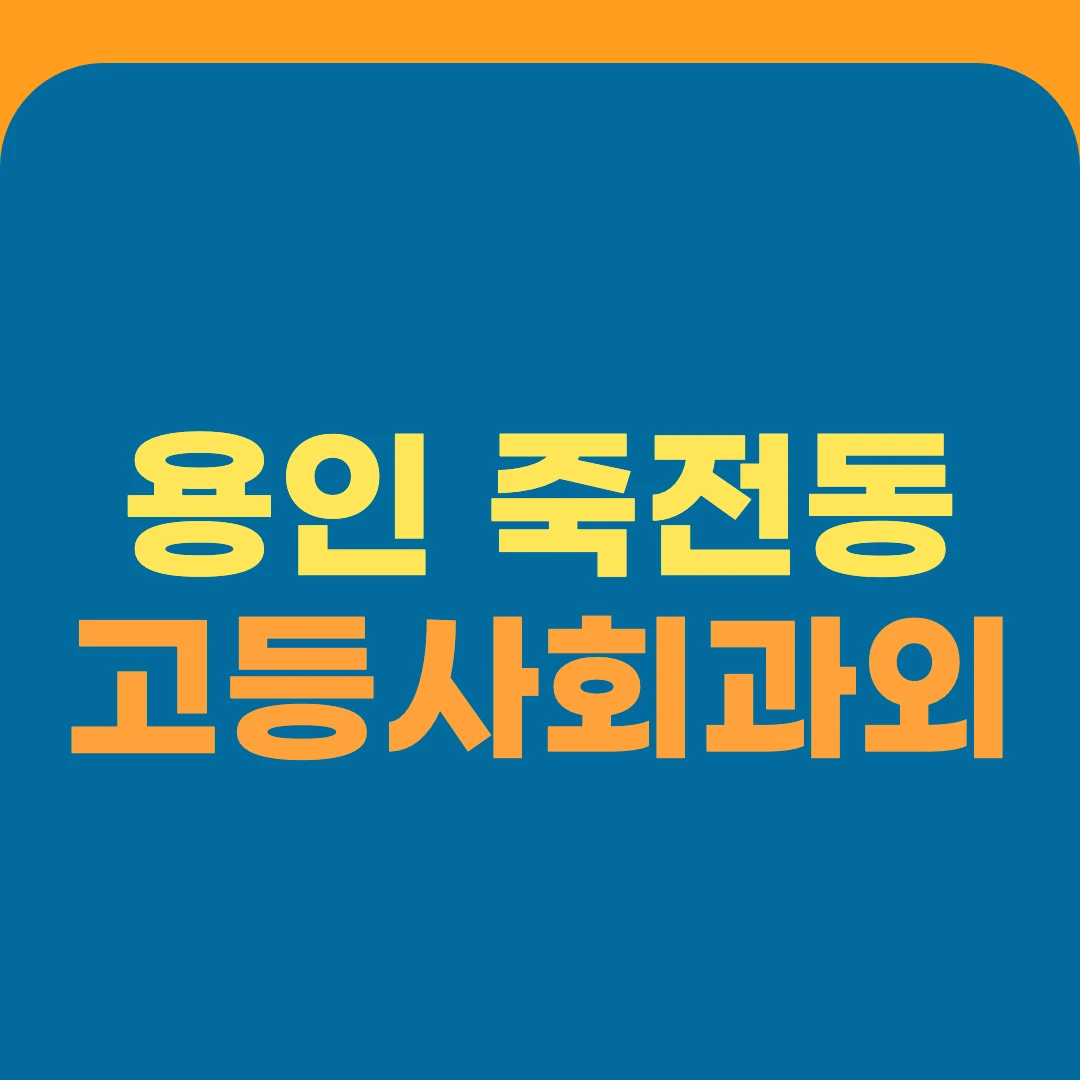 용인 죽전동 고등사회과외