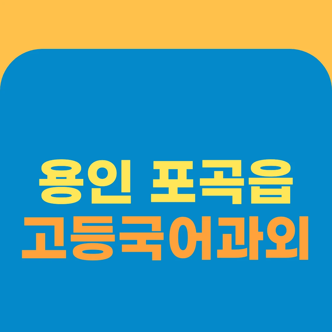 용인 포곡읍 고등국어과외