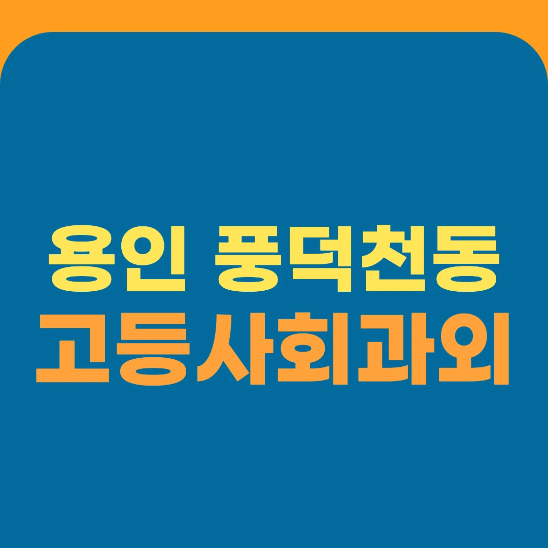 용인 풍덕천동 고등사회과외