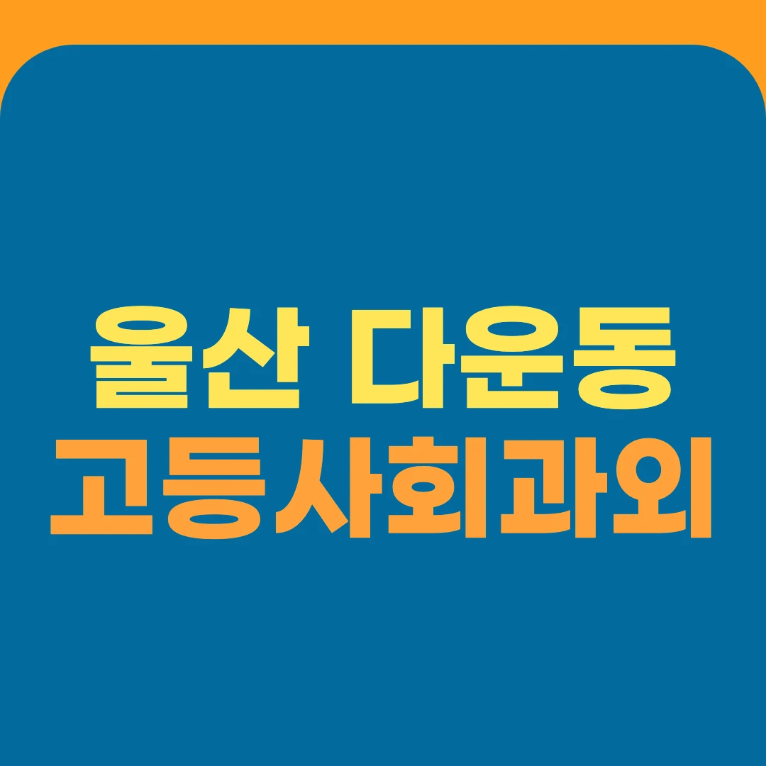 울산 다운동 고등사회과외