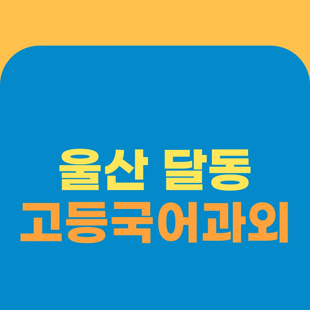 울산 달동 고등국어과외