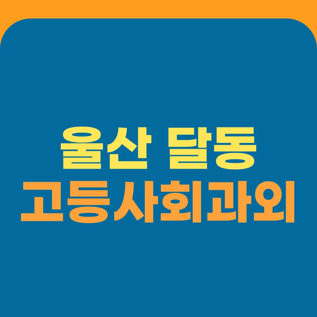 울산 달동 고등사회과외