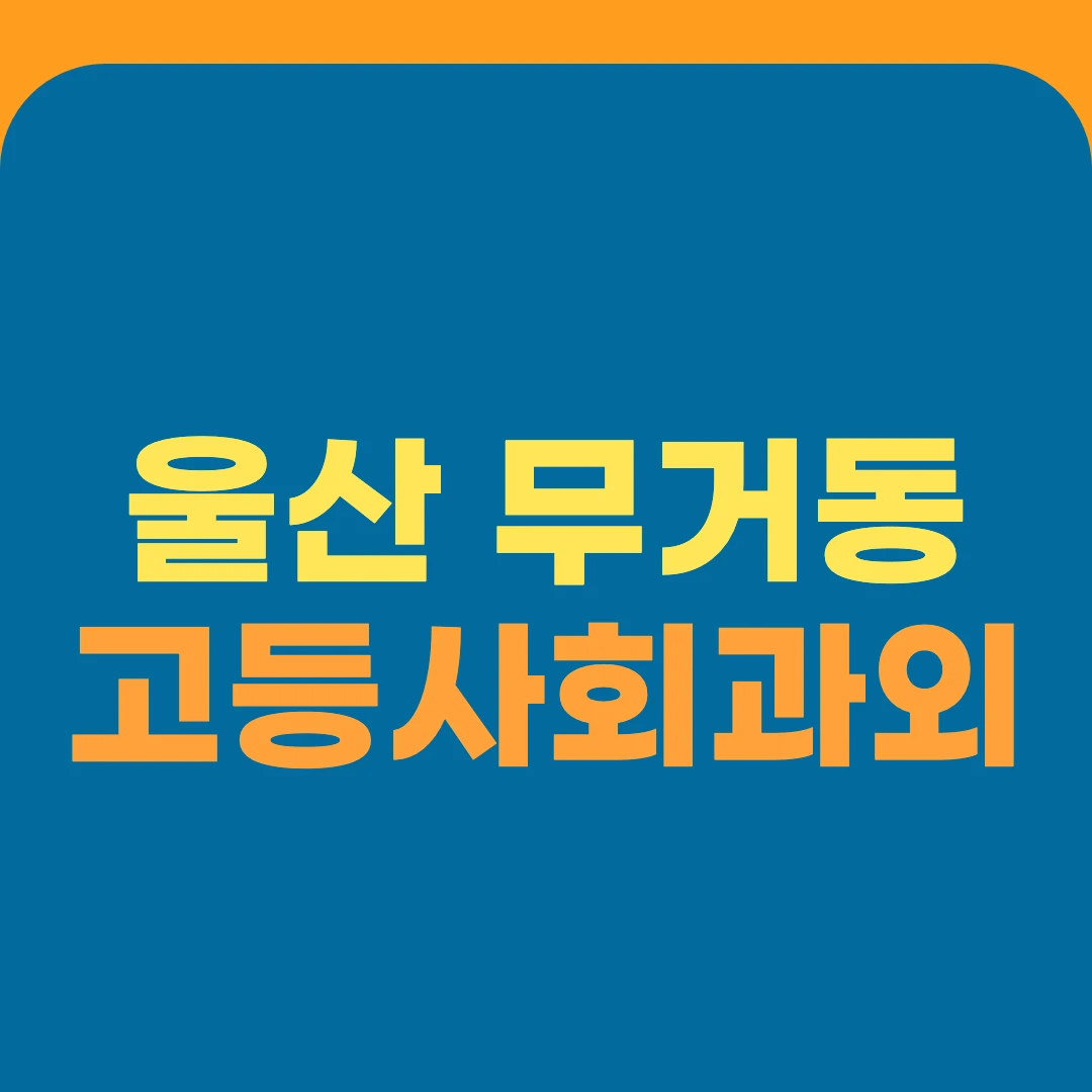 울산 무거동 고등사회과외