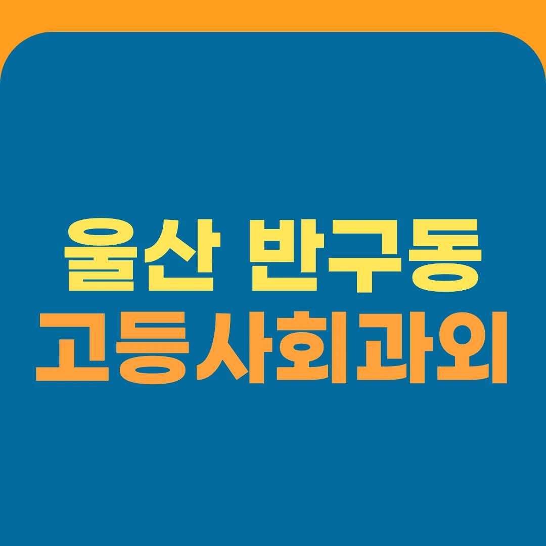 울산 반구동 고등사회과외