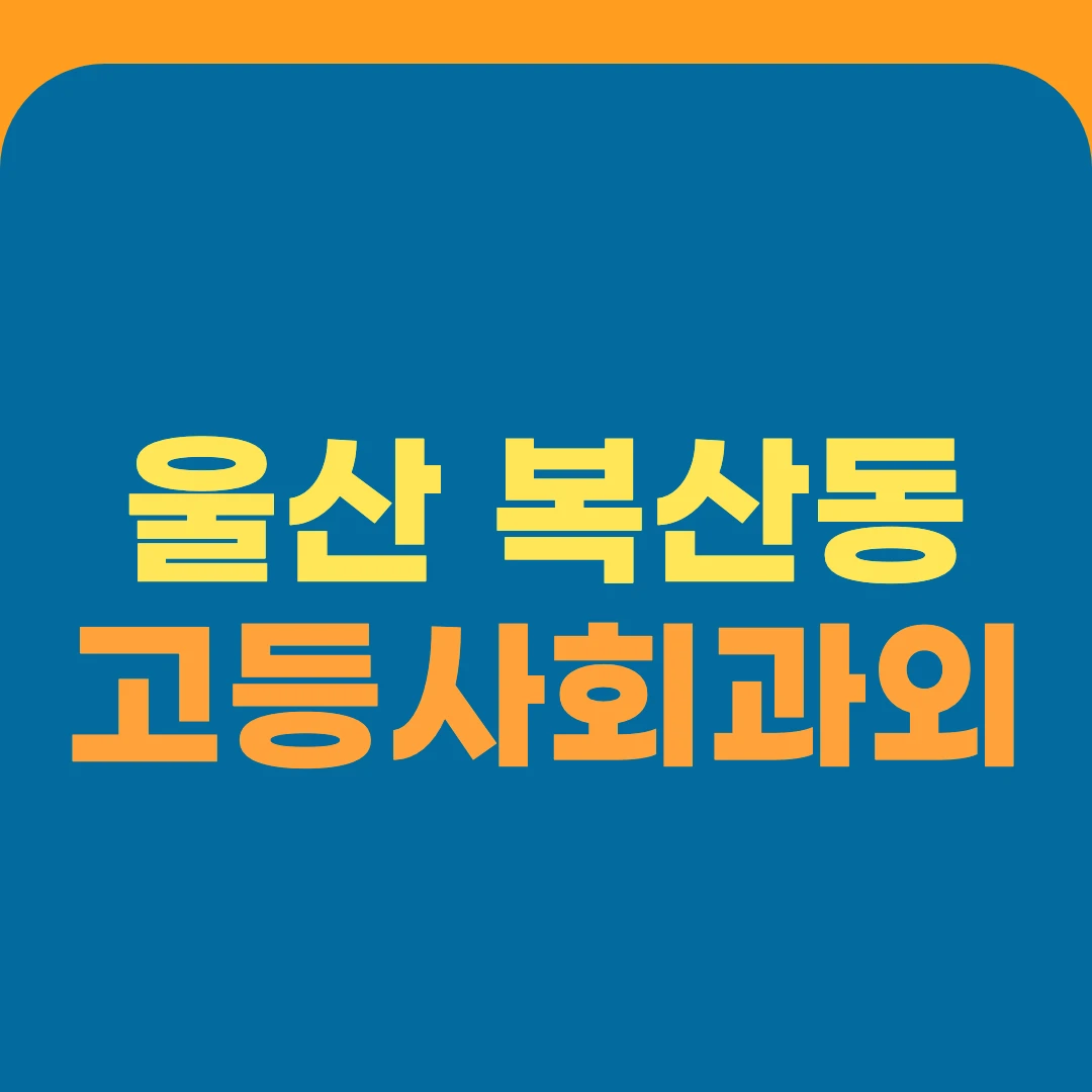 울산 복산동 고등사회과외