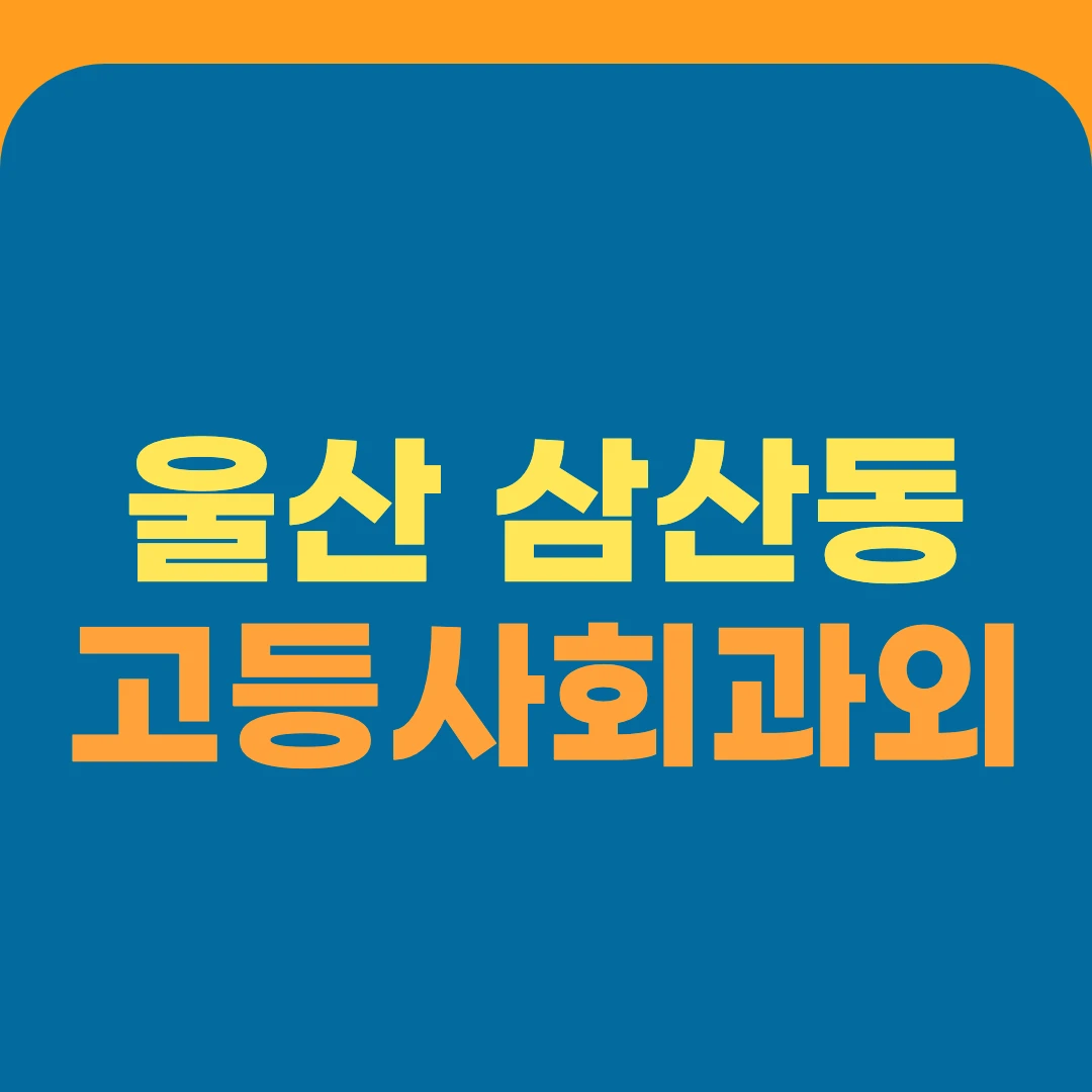 울산 삼산동 고등사회과외