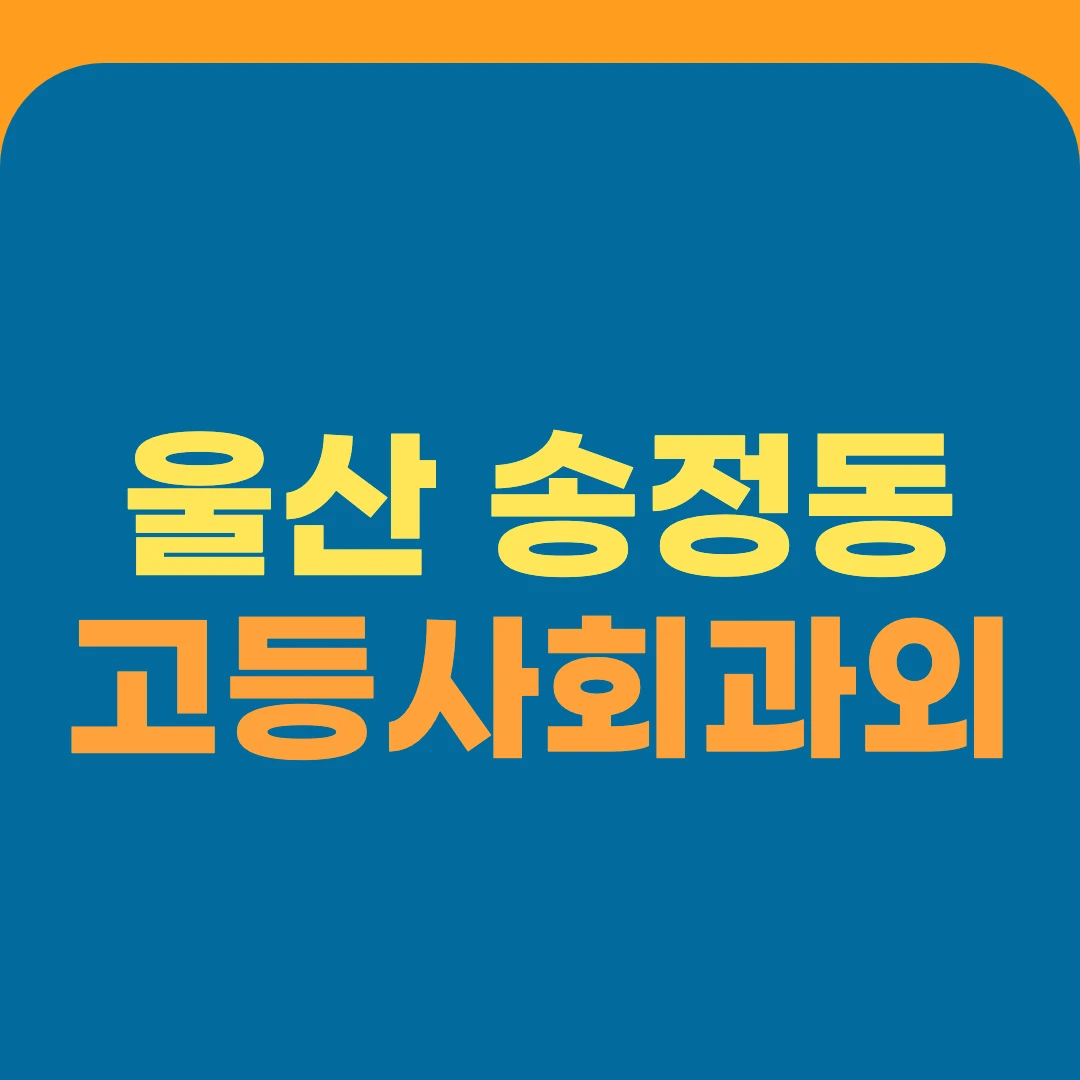 울산 송정동 고등사회과외
