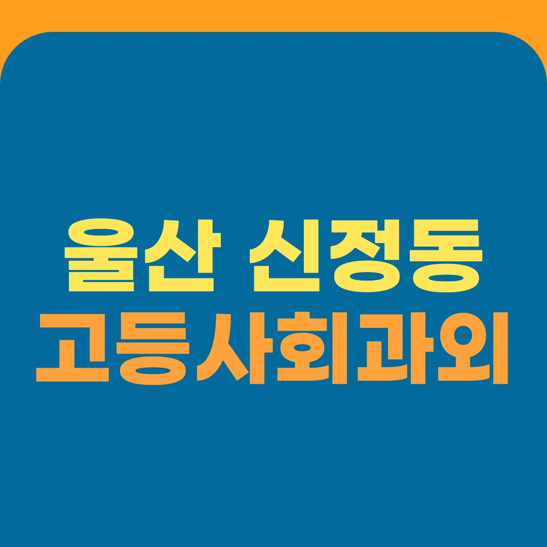 울산 신정동 고등사회과외