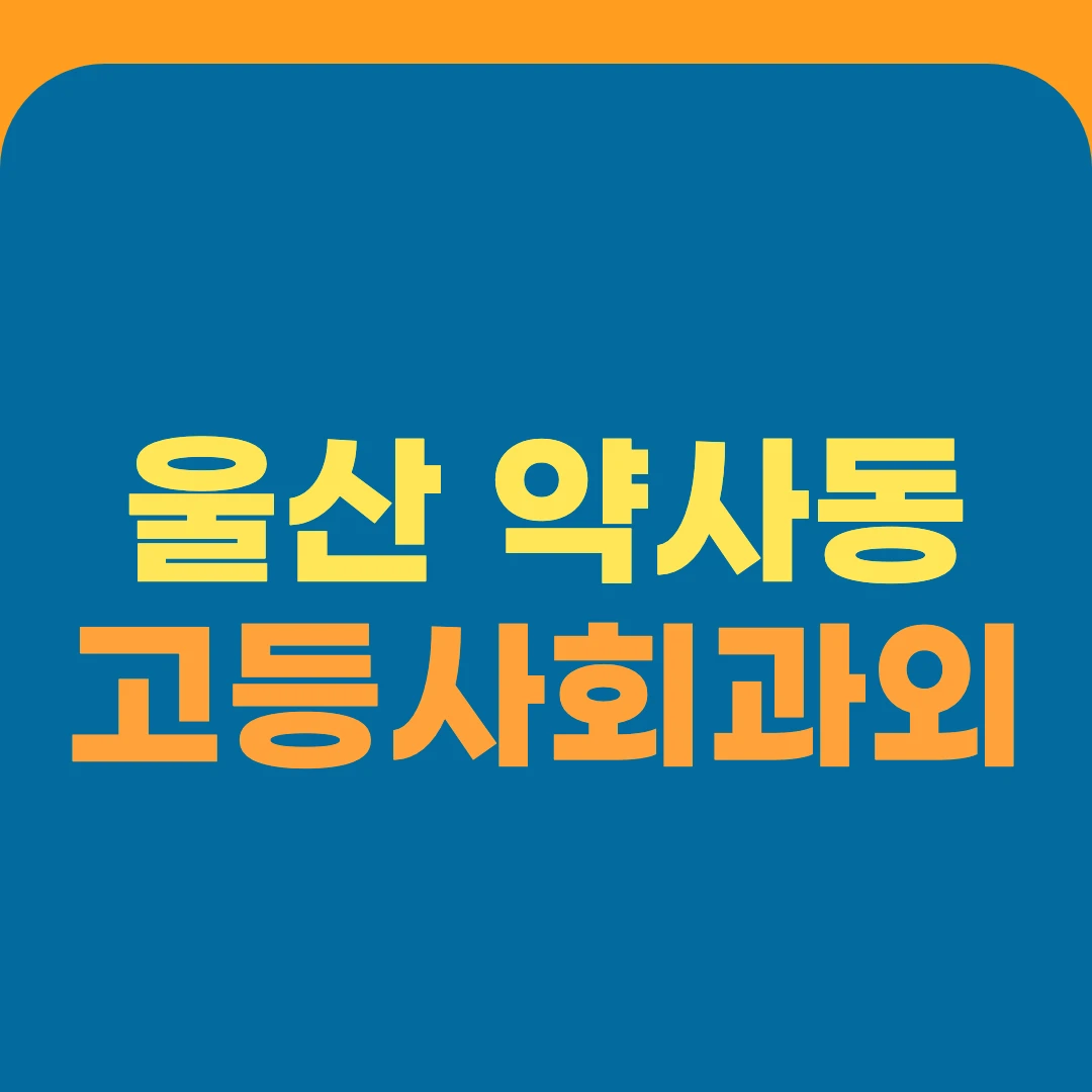 울산 약사동 고등사회과외