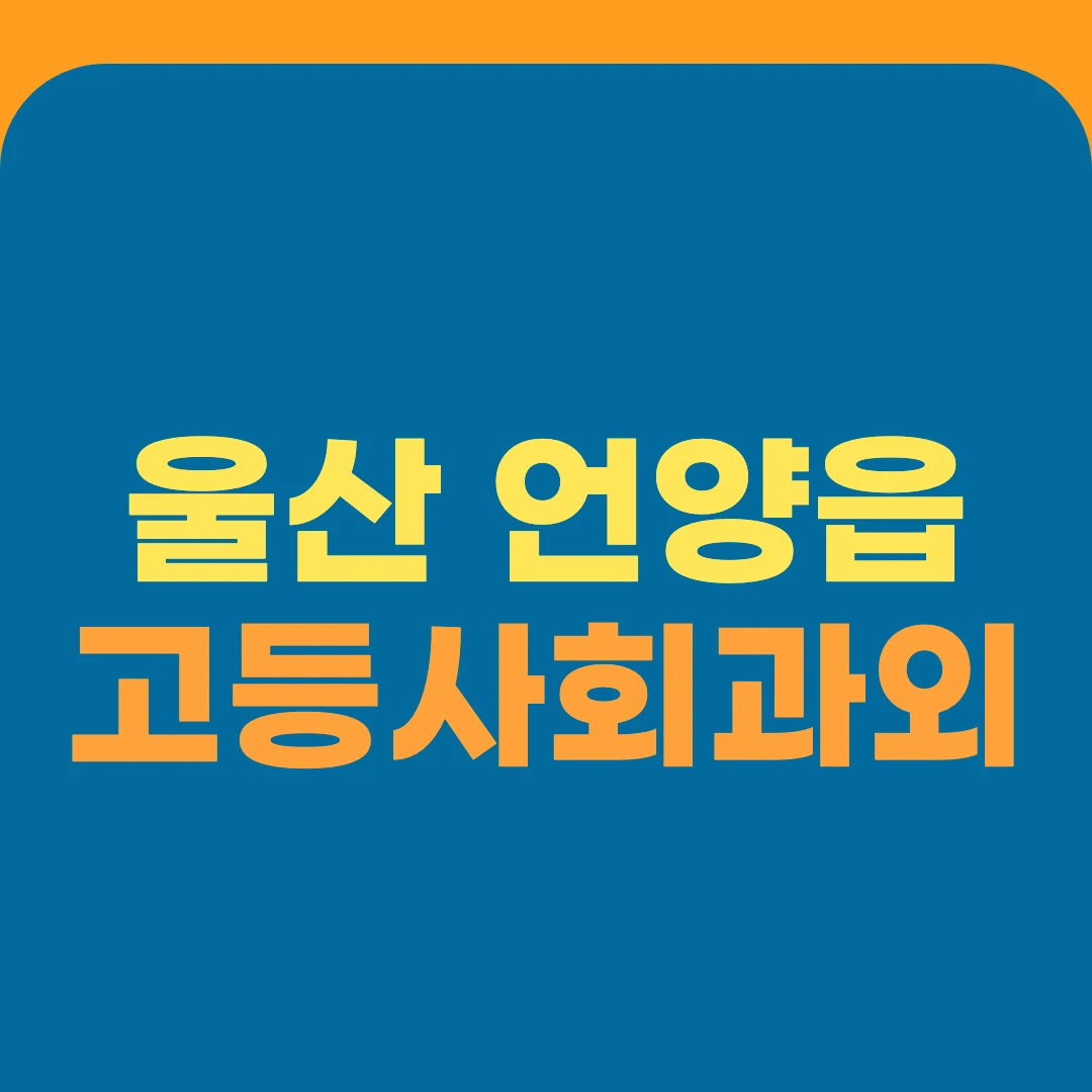울산 언양읍 고등사회과외