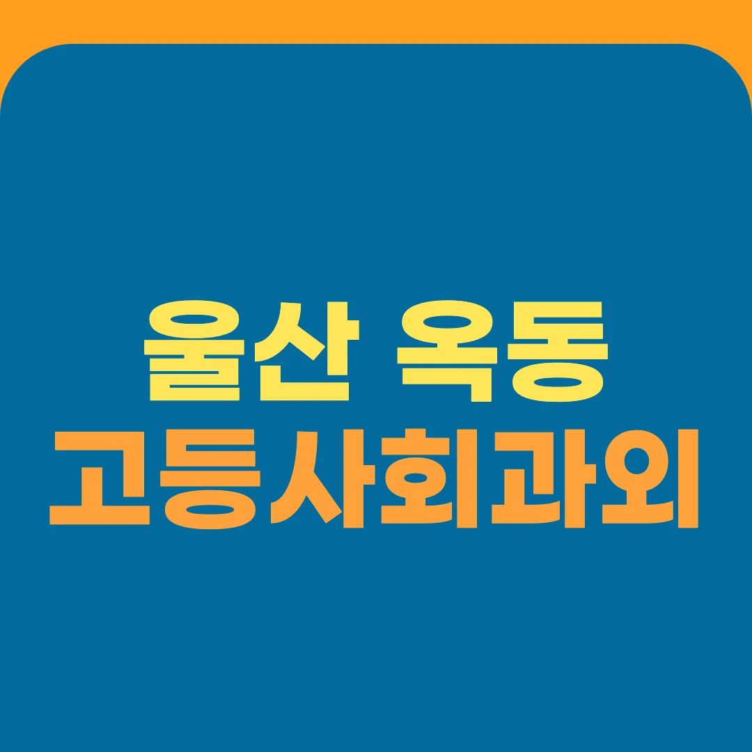 울산 옥동 고등사회과외