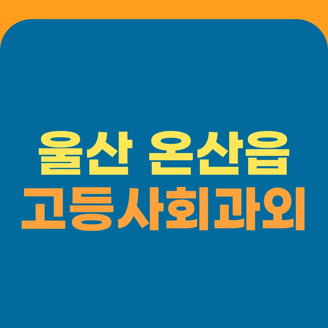 울산 온산읍 고등사회과외