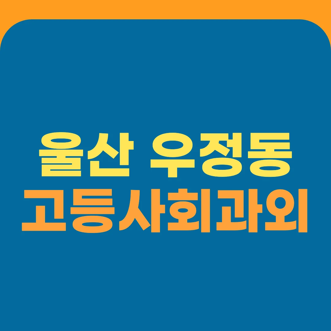 울산 우정동 고등사회과외