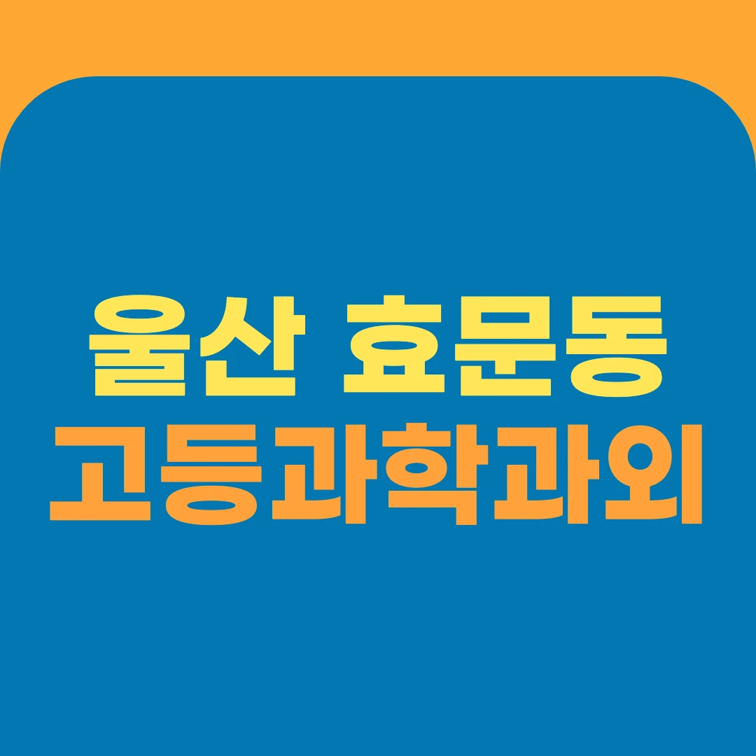 울산 효문동 고등과학과외