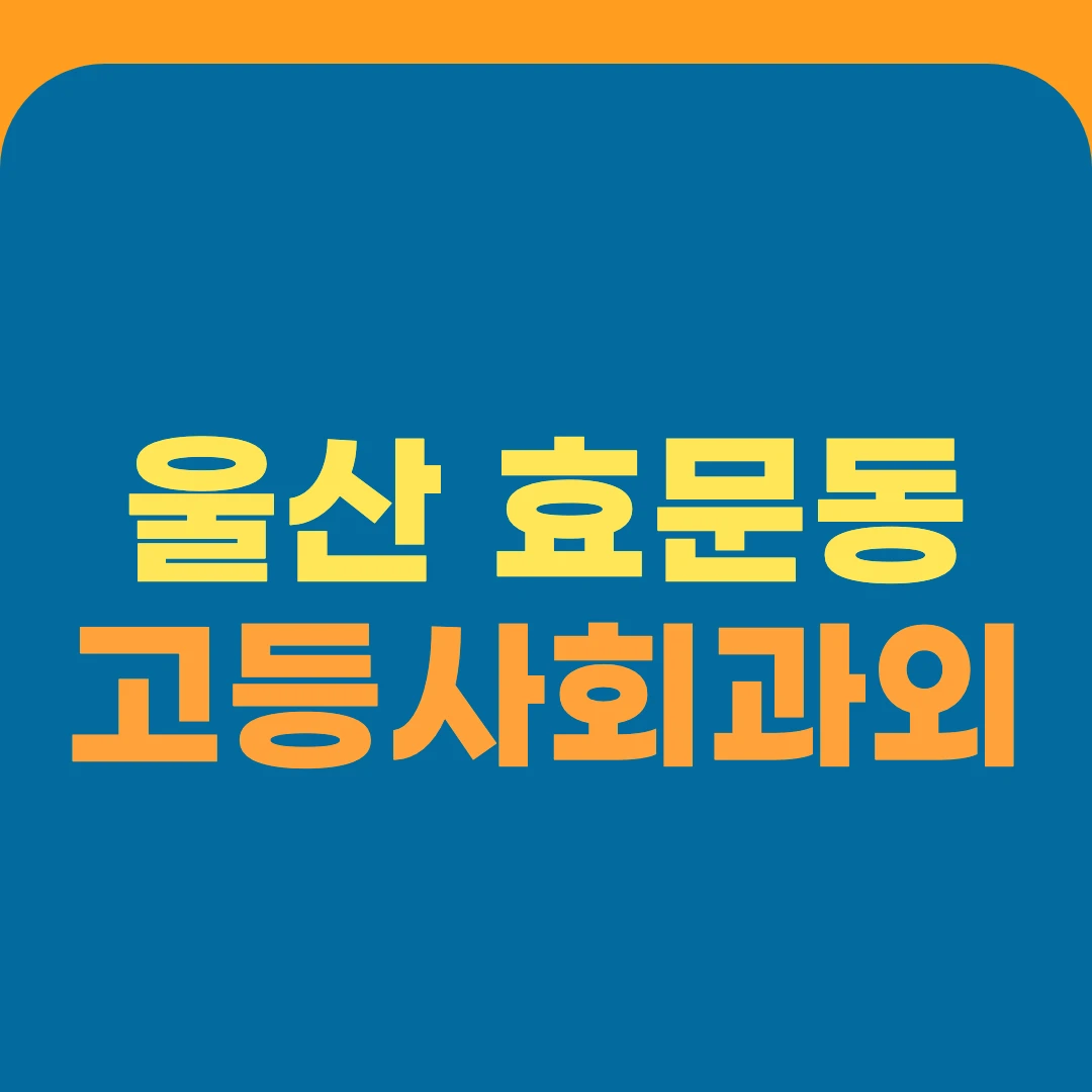 울산 효문동 고등사회과외