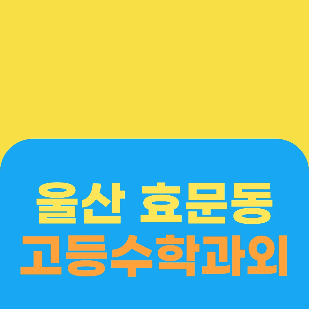 울산 효문동 고등수학과외