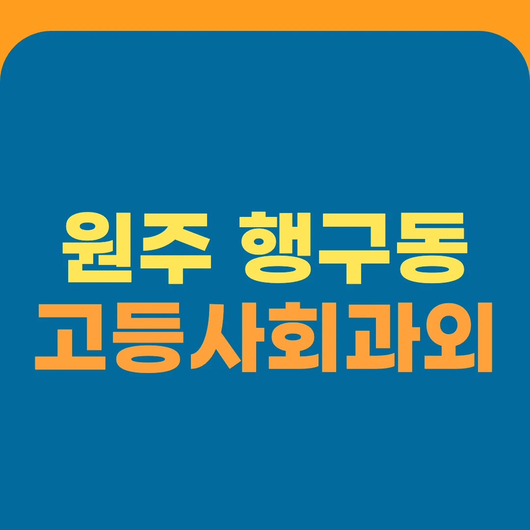 원주 행구동 고등사회과외