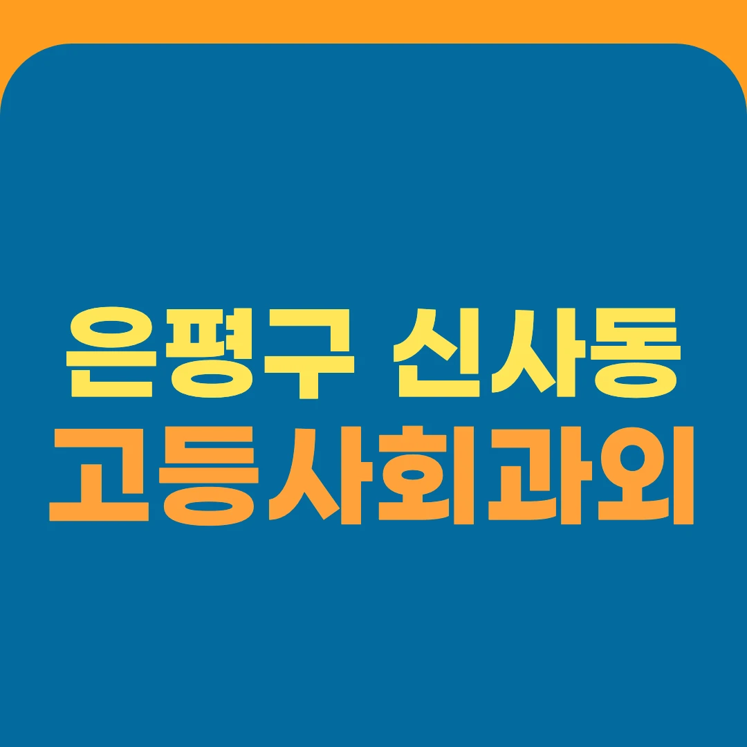 은평구 신사동 고등사회과외