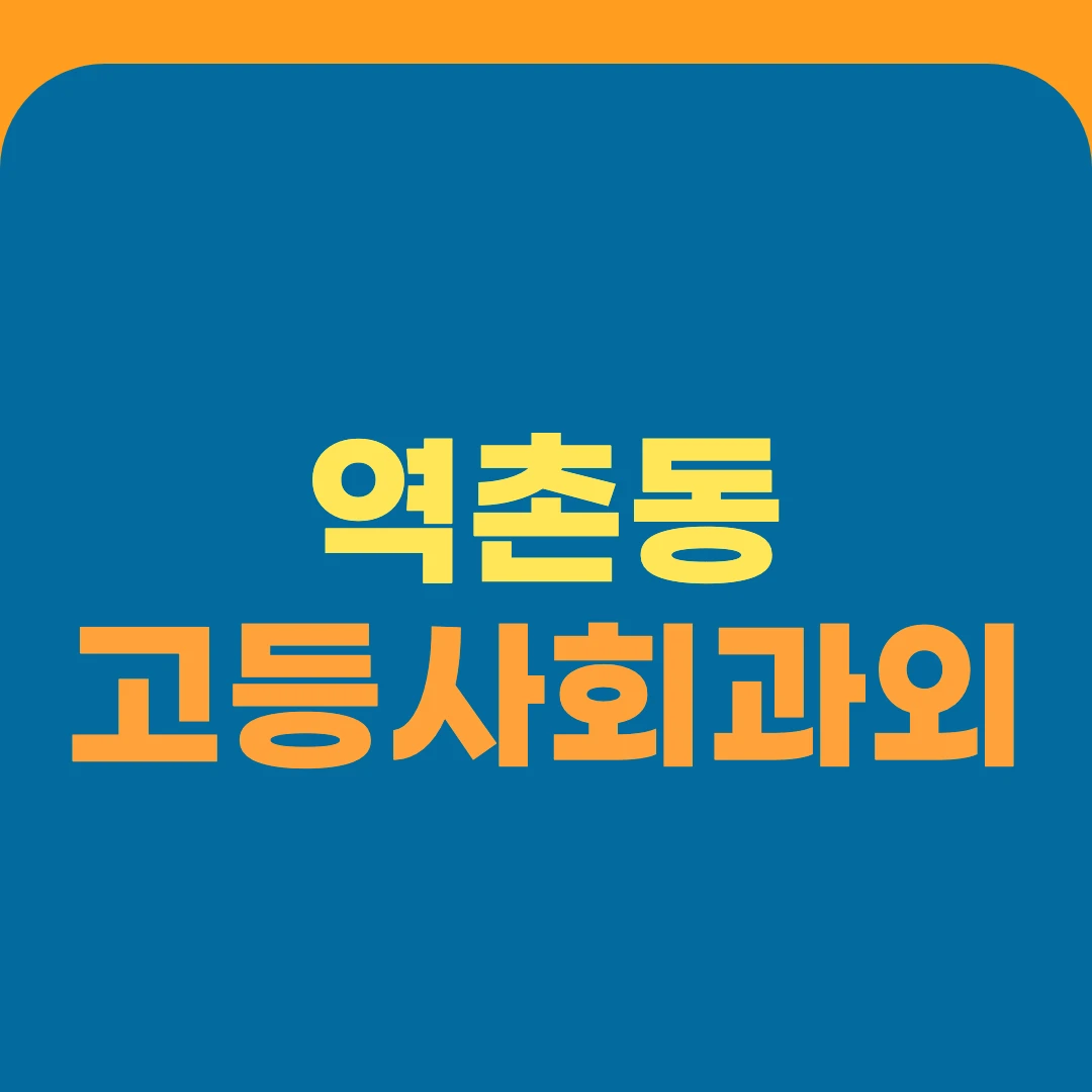 역촌동 고등사회과외
