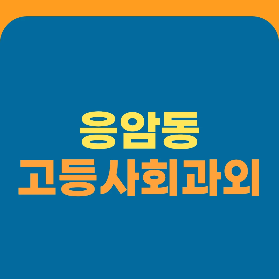 응암동 고등사회과외
