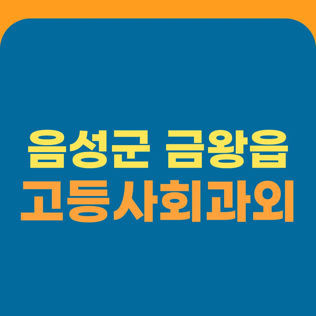 음성군 금왕읍 고등사회과외
