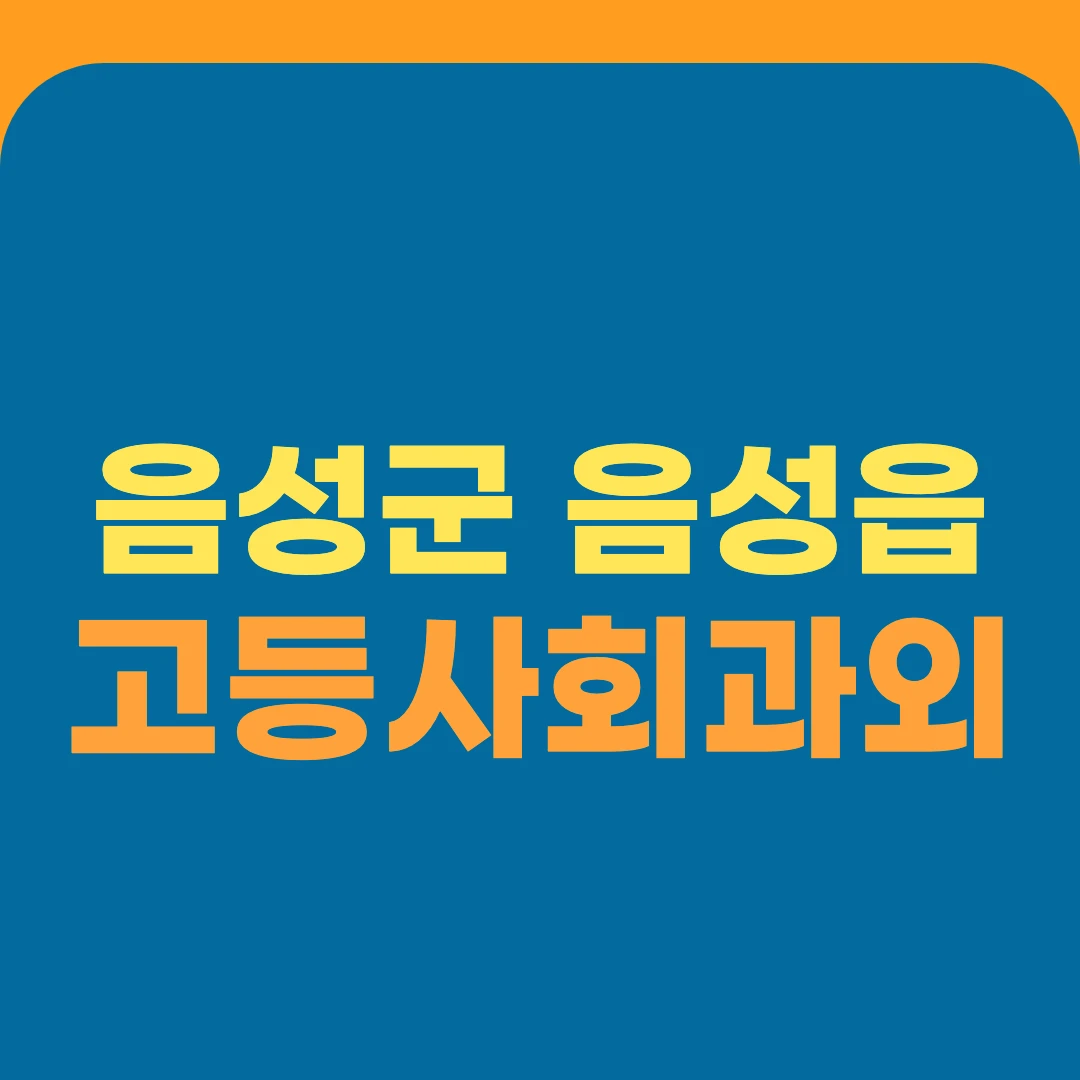 음성군 음성읍 고등사회과외