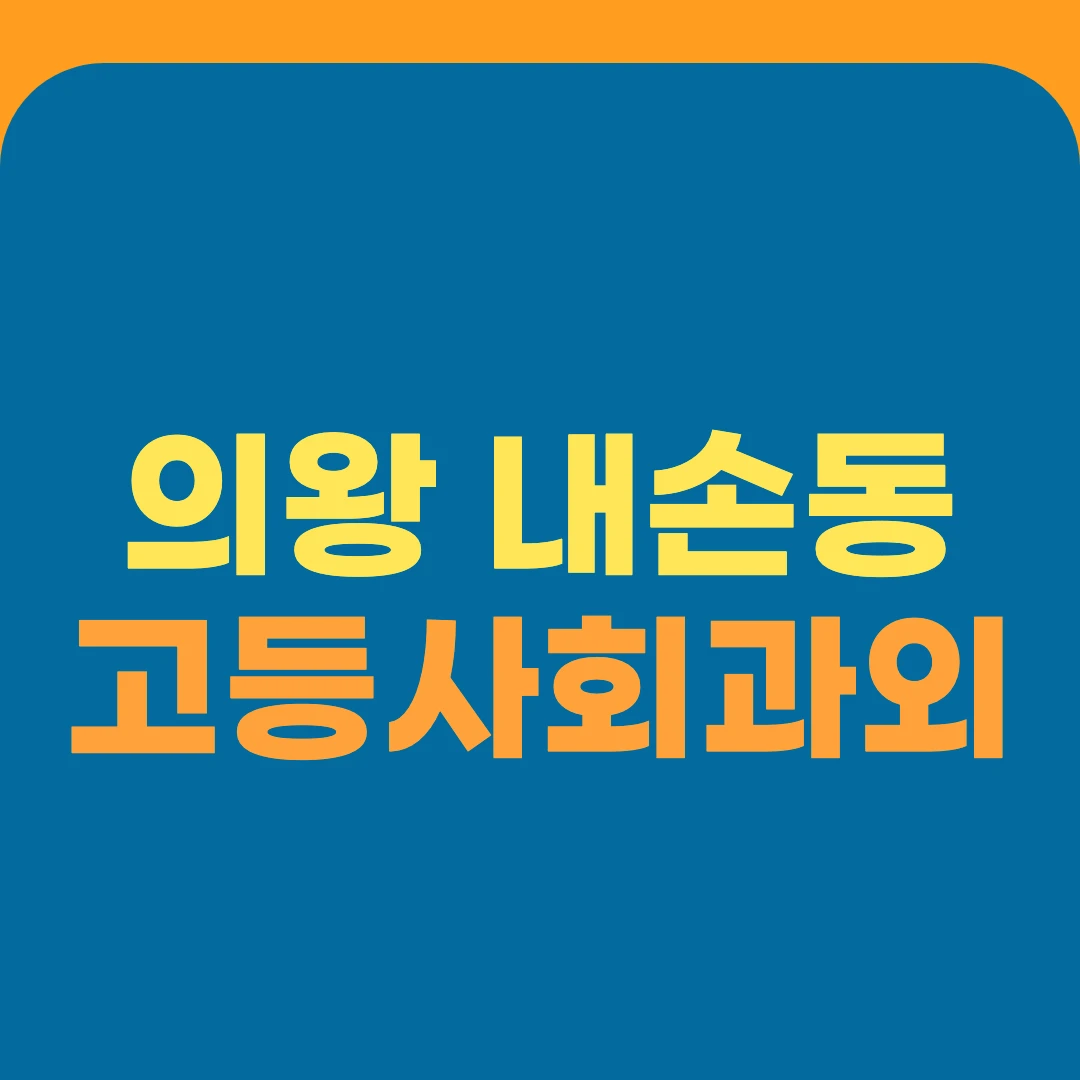 의왕 내손동 고등사회과외