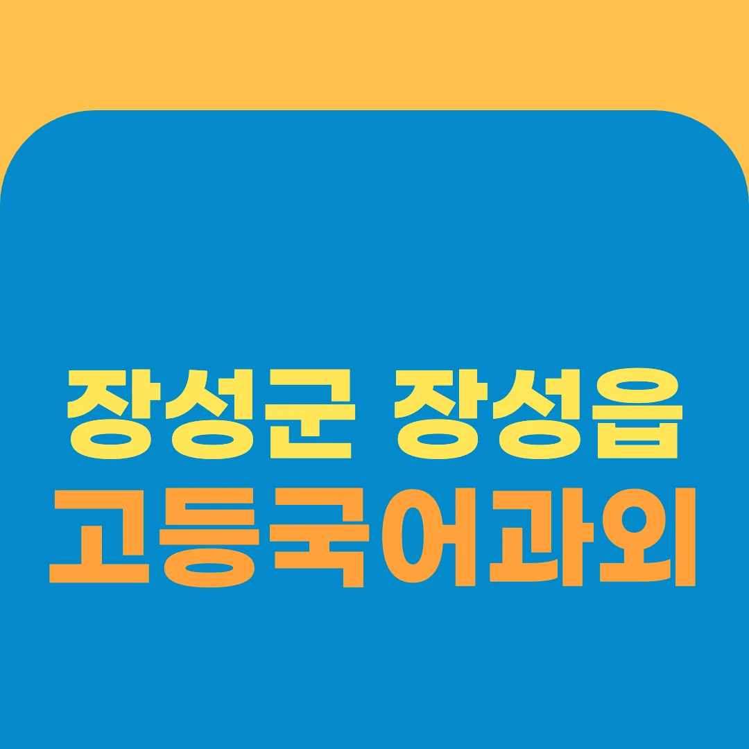 장성군 장성읍 고등국어과외