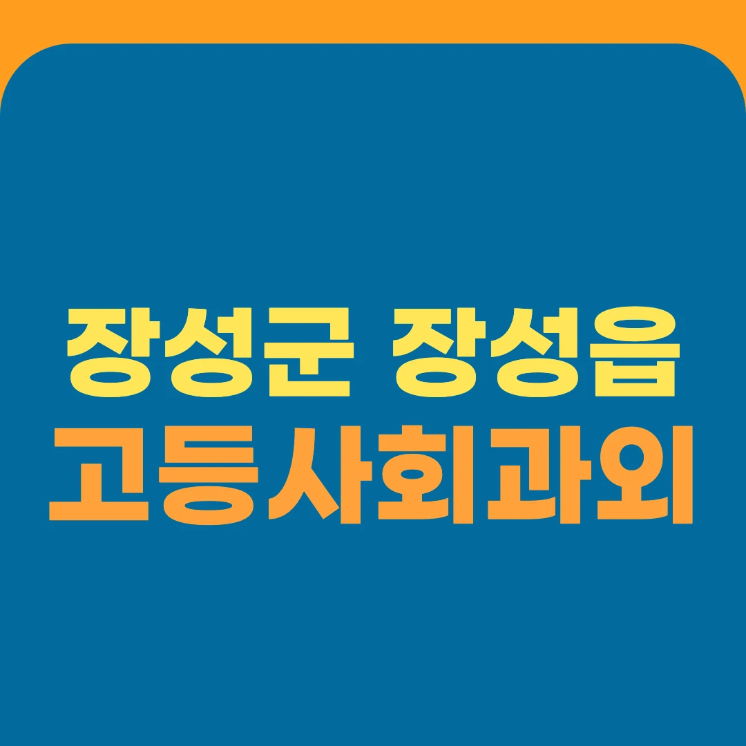 장성군 장성읍 고등사회과외
