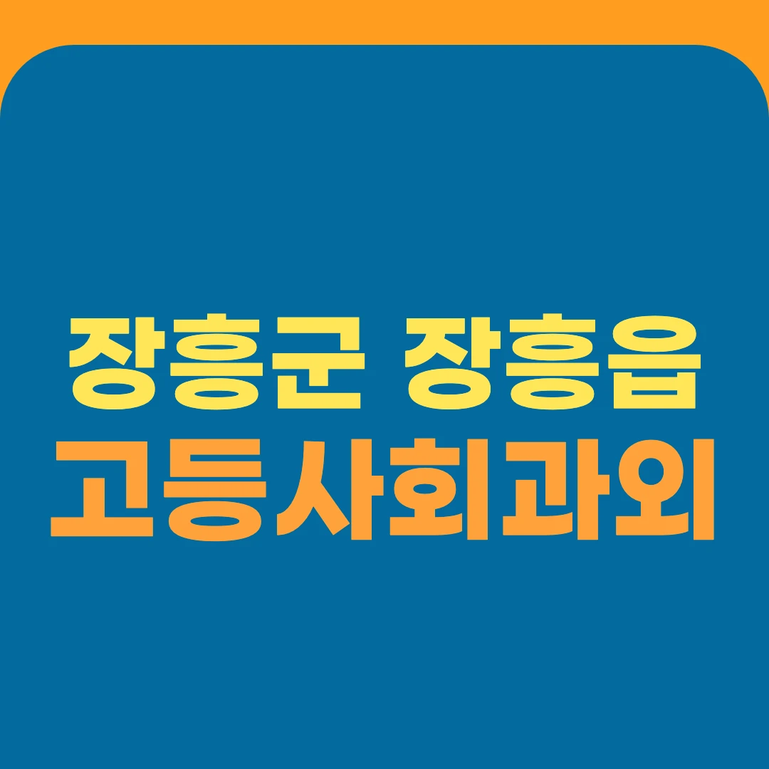 장흥군 장흥읍 고등사회과외