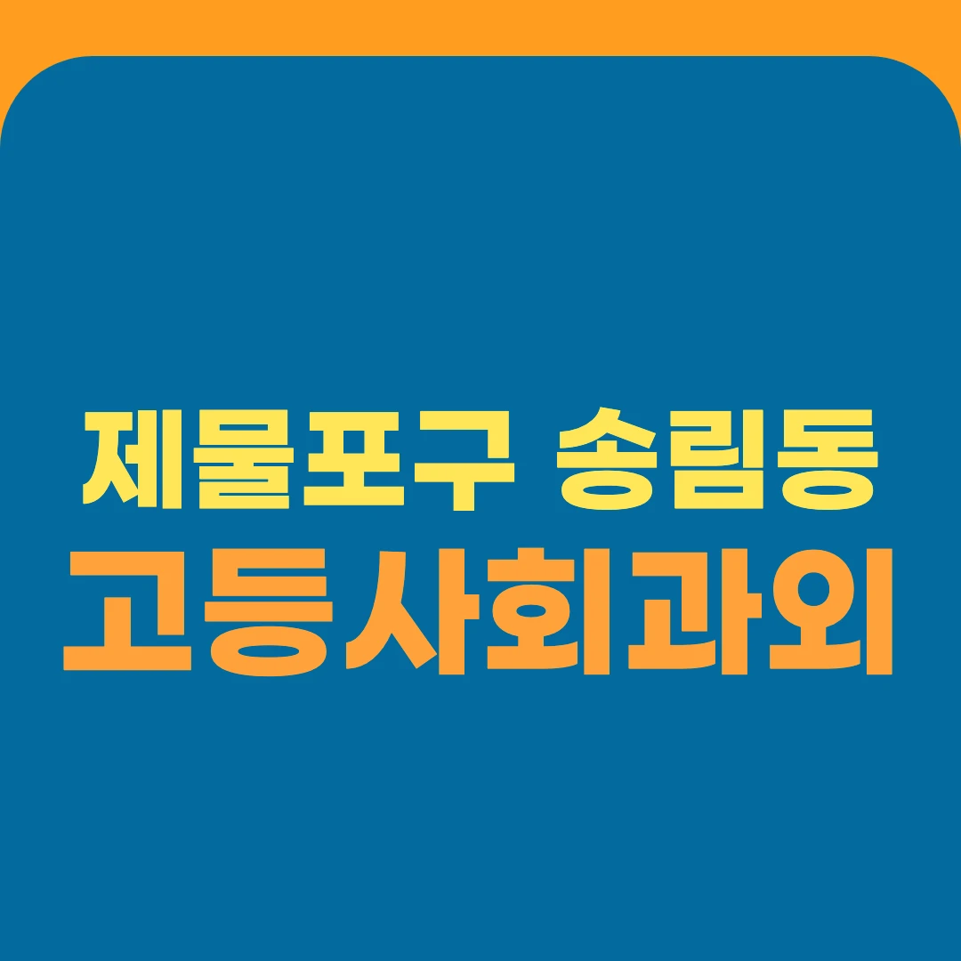 제물포구 송림동 고등사회과외